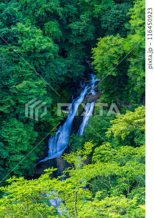【栃木県日光市】夏の日光・霧降滝(きりふりのたき) 【栃木県日光市】夏の日光・霧降滝(きりふりのたき) 116450923