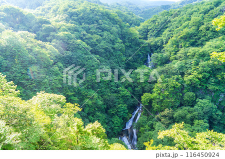 【栃木県日光市】夏の日光・霧降滝（きりふりのたき） 116450924