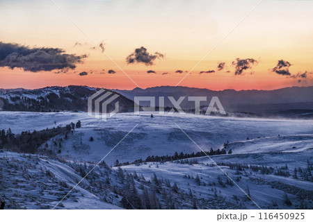 冬の美ヶ原高原、日の出前の様子 116450925
