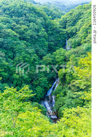 【栃木県日光市】夏の日光・霧降滝(きりふりのたき) 【栃木県日光市】夏の日光・霧降滝(きりふりのたき) 116450926