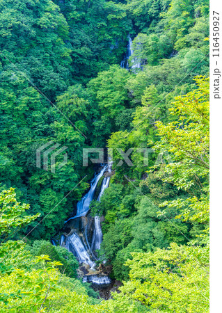 【栃木県日光市】夏の日光・霧降滝（きりふりのたき） 116450927