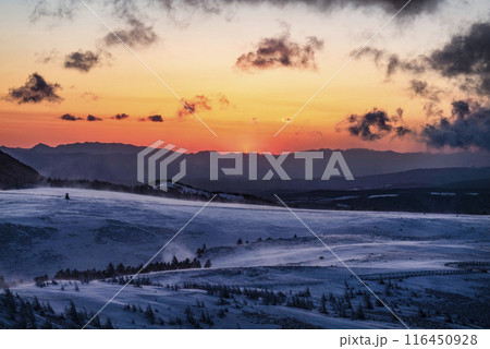 冬の美ヶ原高原、日の出前の様子 冬の美ヶ原高原、日の出前の様子 116450928
