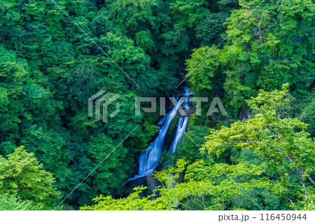 【栃木県日光市】夏の日光・霧降滝（きりふりのたき） 116450944
