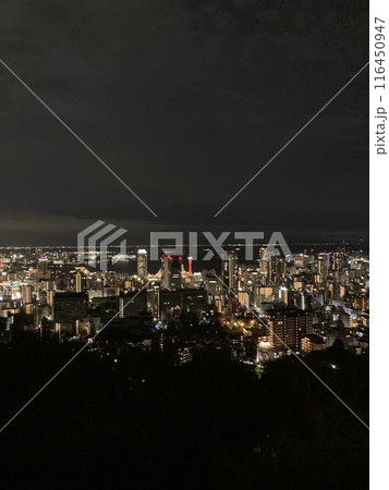 対岸から見る都会の夜景 116450947