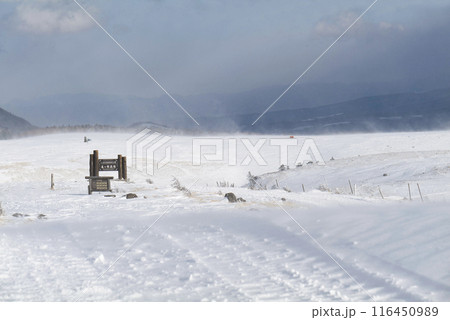 冬の美ヶ原高原 116450989