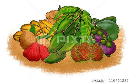 The tropical fruit drawing png image The tropical fruit drawing png image 116451225