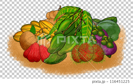 The tropical fruit drawing png image The tropical fruit drawing png image 116451225