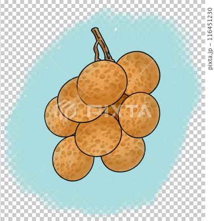 The longan drawing png image 116451230