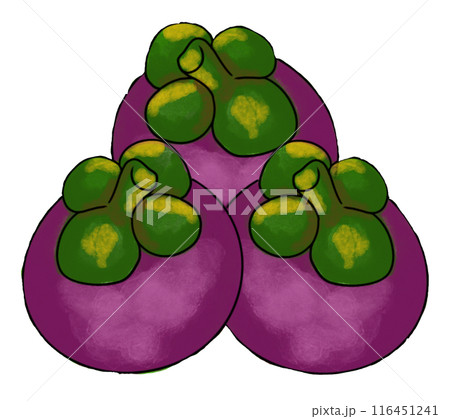 The mangosteen drawing png image The mangosteen drawing png image 116451241