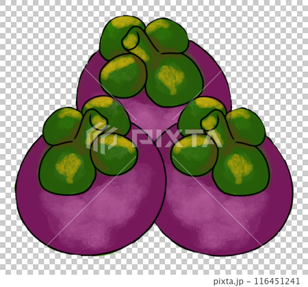 The mangosteen drawing png image The mangosteen drawing png image 116451241