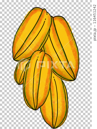 The starfruit drawing png image 116451242