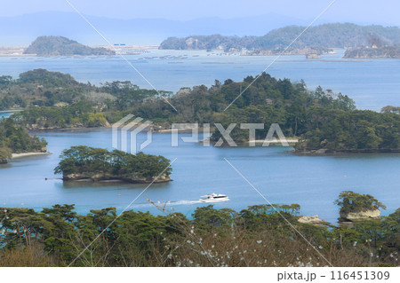 桜の松島西行戻しの松公園からの日本三景松島 116451309