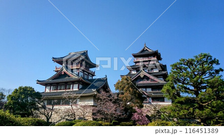 伏見桃山城 116451389