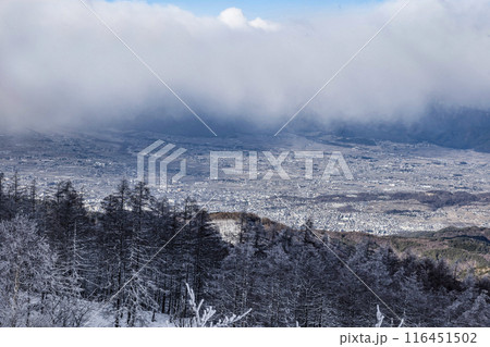 美ヶ原公園沖線(県道62号線)から松本、安曇野方面を望む 美ヶ原公園沖線(県道62号線)から松本、安曇野方面を望む 116451502