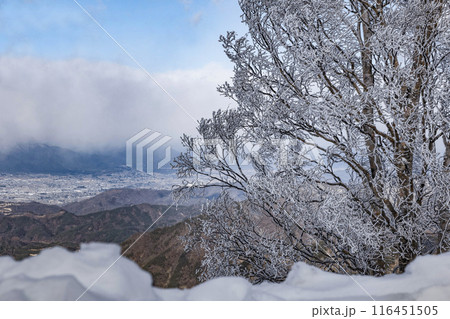美ヶ原公園沖線(県道62号線)からの眺望 美ヶ原公園沖線(県道62号線)からの眺望 116451505