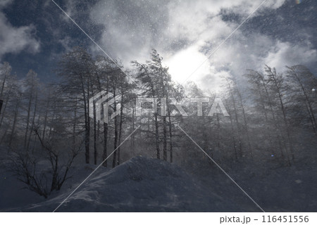 逆光に浮かぶ雪景色（美ヶ原公園沖線） 116451556