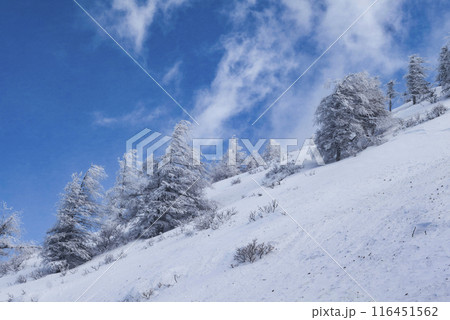 美ヶ原公園沖線沿いから望む雪景色（県道62号線） 116451562