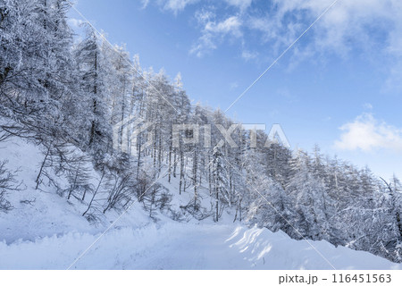 美ヶ原公園沖線沿いから望む雪景色(県道62号線) 美ヶ原公園沖線沿いから望む雪景色(県道62号線) 116451563