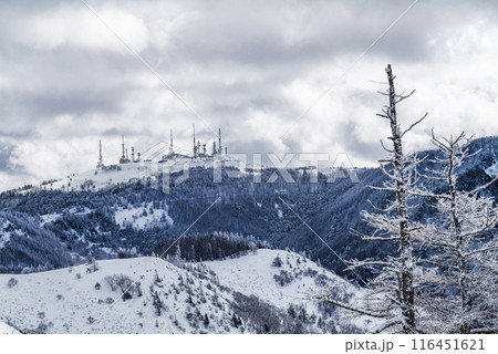 美ヶ原公園沖線（県道62号線）から美ヶ原電波塔を望む 116451621