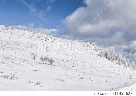 美ヶ原公園沖線沿(県道62号線)の雪景色 美ヶ原公園沖線沿(県道62号線)の雪景色 116451628