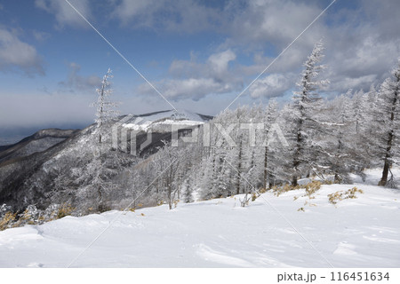 美ヶ原公園沖線沿（県道62号線）の雪景色 116451634