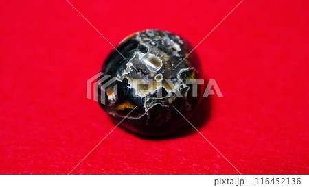 オーシャンジャスパー オーシャンジャスパー 116452136