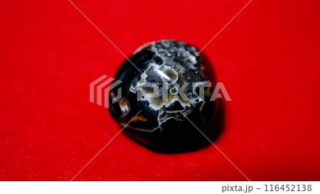 オーシャンジャスパー 116452138