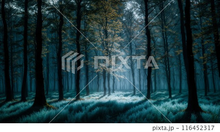 鬱蒼とした森 幻想的 光が草に差し込む 鬱蒼とした森 幻想的 光が草に差し込む 116452317