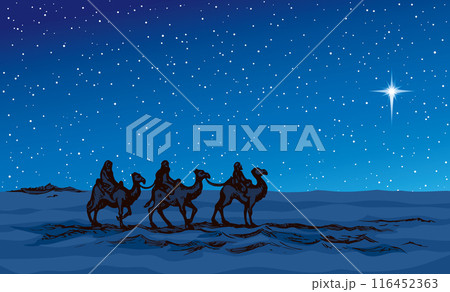 Camel caravan travels. Vector drawing Camel caravan travels. Vector drawing 116452363