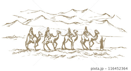 Camel caravan travels. Vector drawing Camel caravan travels. Vector drawing 116452364