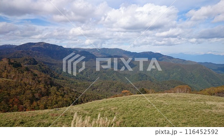 紅葉の始まった山の風景 116452592