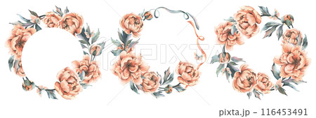 Peony flowers with buds and leaves with flying butterflies in pastel peach fuzz color. Hand drawn botanical watercolor illustration. Set of round frames, wreaths, templates isolated from background 116453491