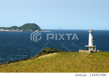 唐津市呼子　加部島の「杉ノ原放牧場」　白い灯台と玄界灘の青い海の風景 116453496