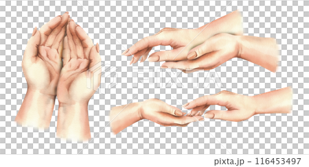 Hands of a white woman, palms side view, reaching towards each other to touch. Hand drawn watercolor illustration. Set of compositions isolated from background 116453497
