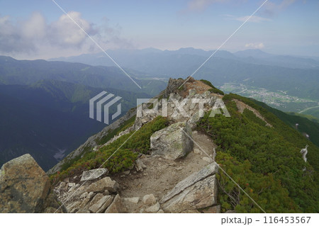 唐松岳から白馬を見下ろす景色 唐松岳から白馬を見下ろす景色 116453567