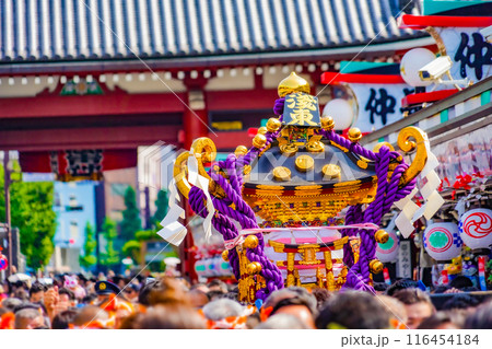 祭りの日の神輿（三社祭） 116454184