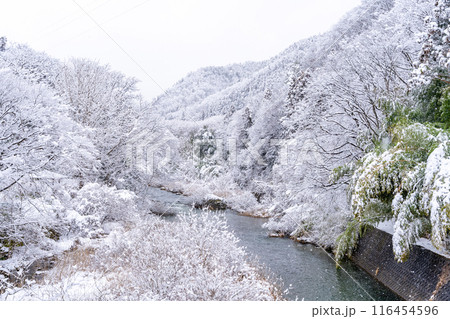 雪の飯坂温泉 歴史・規模ともに日本を代表する名泉 ヤマトタケルの時代から息づく飯坂の歴史 中十綱橋 雪の飯坂温泉 歴史・規模ともに日本を代表する名泉 ヤマトタケルの時代から息づく飯坂の歴史 中十綱橋 116454596