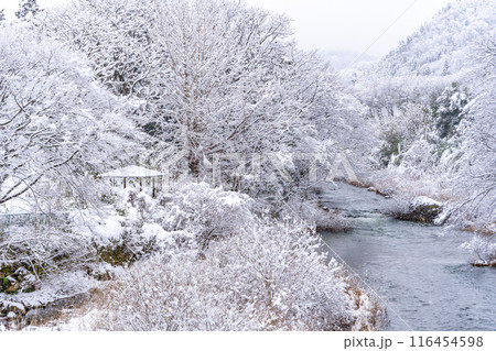 雪の飯坂温泉　歴史・規模ともに日本を代表する名泉　ヤマトタケルの時代から息づく飯坂の歴史　中十綱橋 116454598