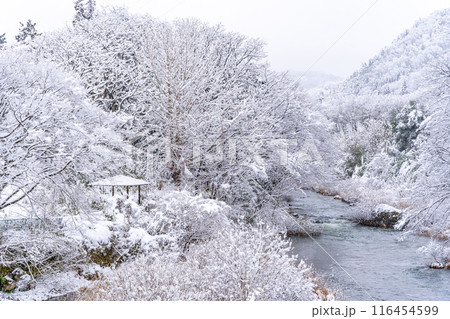 雪の飯坂温泉　歴史・規模ともに日本を代表する名泉　ヤマトタケルの時代から息づく飯坂の歴史　中十綱橋 116454599
