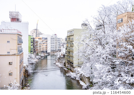 雪の飯坂温泉 歴史・規模ともに日本を代表する名泉 ヤマトタケルの時代から息づく飯坂の歴史 新十綱橋 雪の飯坂温泉 歴史・規模ともに日本を代表する名泉 ヤマトタケルの時代から息づく飯坂の歴史 新十綱橋 116454600