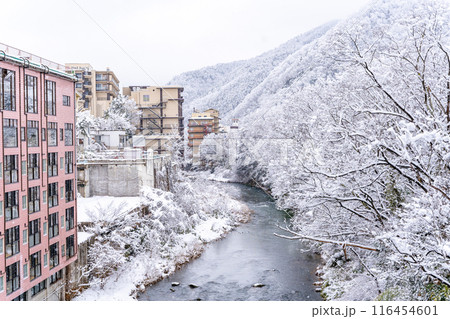 雪の飯坂温泉 歴史・規模ともに日本を代表する名泉 ヤマトタケルの時代から息づく飯坂の歴史 新十綱橋 雪の飯坂温泉 歴史・規模ともに日本を代表する名泉 ヤマトタケルの時代から息づく飯坂の歴史 新十綱橋 116454601