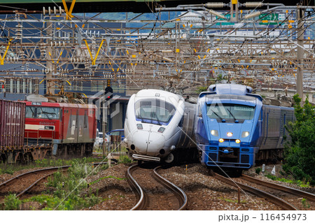 貨物列車とすれ違う「特急ソニック」 貨物列車とすれ違う「特急ソニック」 116454973