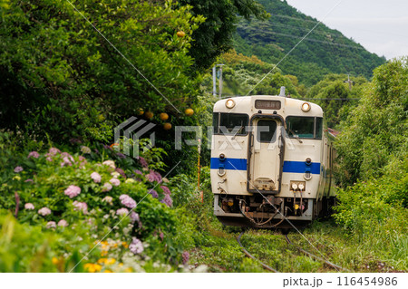 線路脇に紫陽花が咲くJR九州日田彦山線（キハ47系気動車） 116454986
