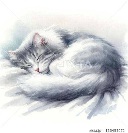 気持ちよさそうに眠る猫の水彩画風イラスト 116455072