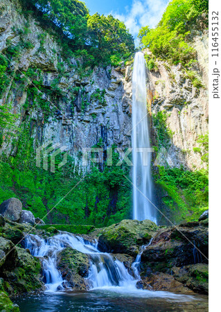 夏の東椎屋の滝　大分県宇佐市 116455132