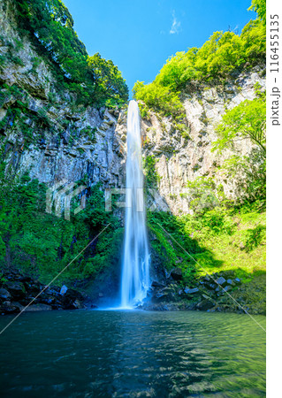 夏の東椎屋の滝　大分県宇佐市 116455135