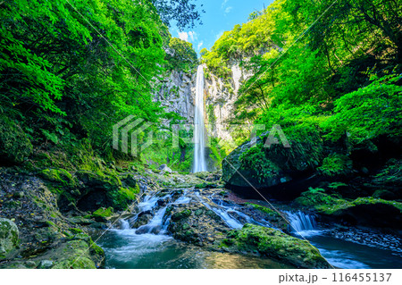 夏の東椎屋の滝　大分県宇佐市 116455137