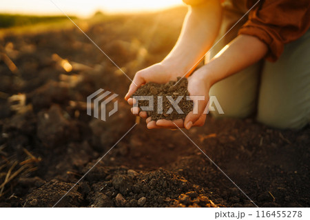 Woman farmer's hand touch soil, check its health before growing vegetables. Concept of agriculture. 116455278