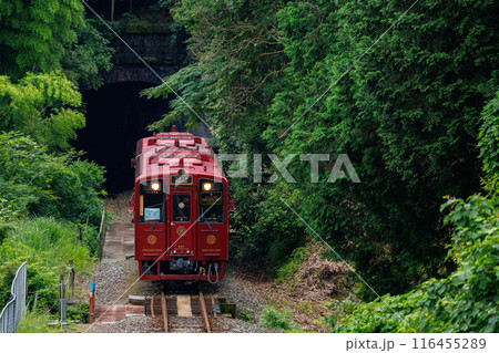 九州最古の石坂トンネルを抜ける平成筑豊鉄道「ことこと列車」 116455289