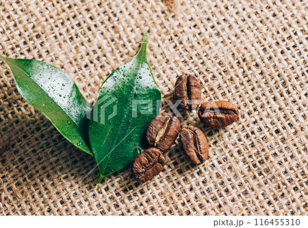 Green leaves and coffee beans on burlap. Close-up selective focus 116455310